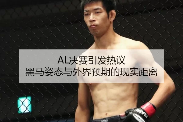 AL决赛引发热议 黑马姿态与外界预期的现实距离